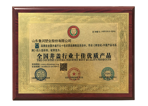 ʮ������