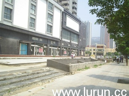 ���Ƹ۶������ݺ�԰