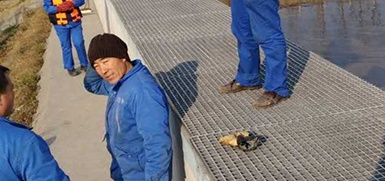 ���Ƶ��ۺ����